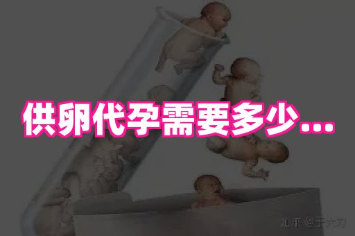 厦门助孕网站 2